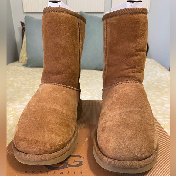 Classic short mini UGGs in Chestnut - Picture 1 of 9